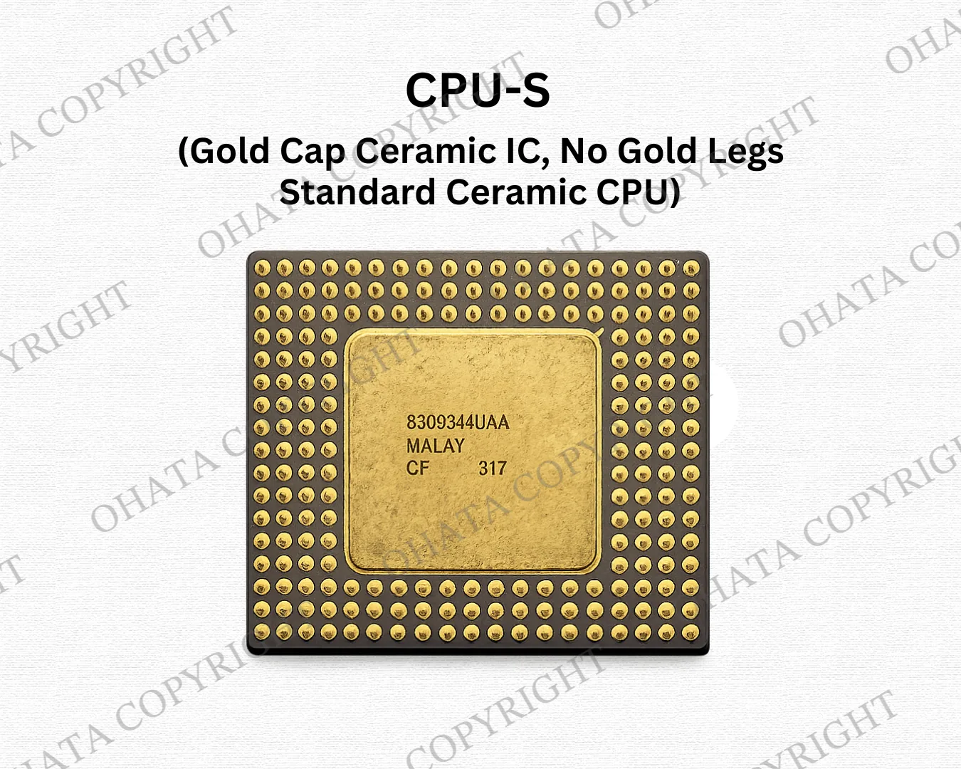 CPU S (Gold Cap Ceramic IC, No Gold Legs Standard Ceramic CPU)