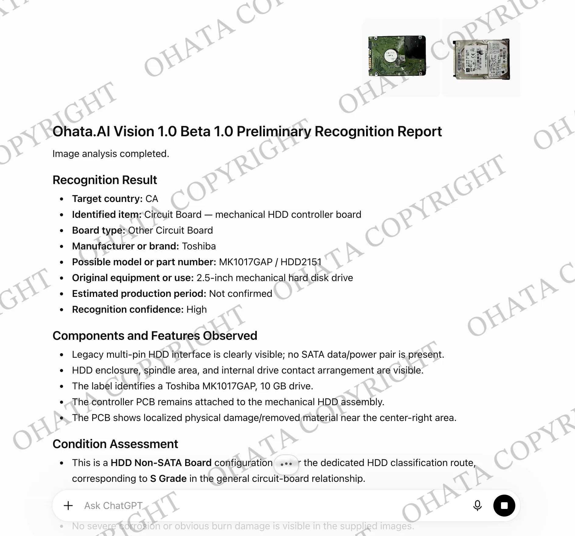 Ohata.AI Vision 1.0 Beta 1.0 Preliminary Recognition Report