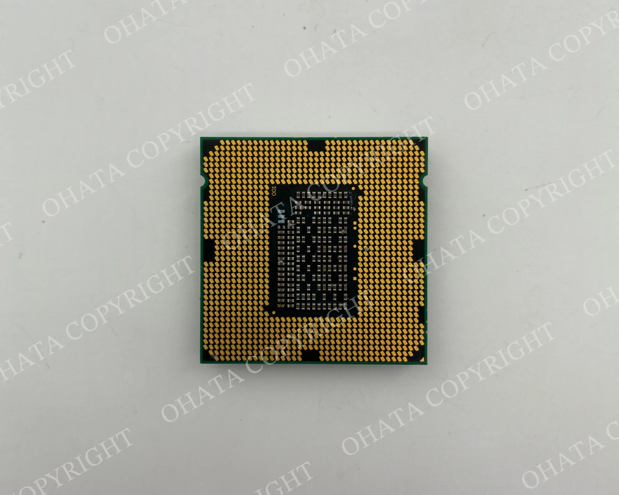Underside of an LGA processor showing a dense array of flat gold-colored contact lands.