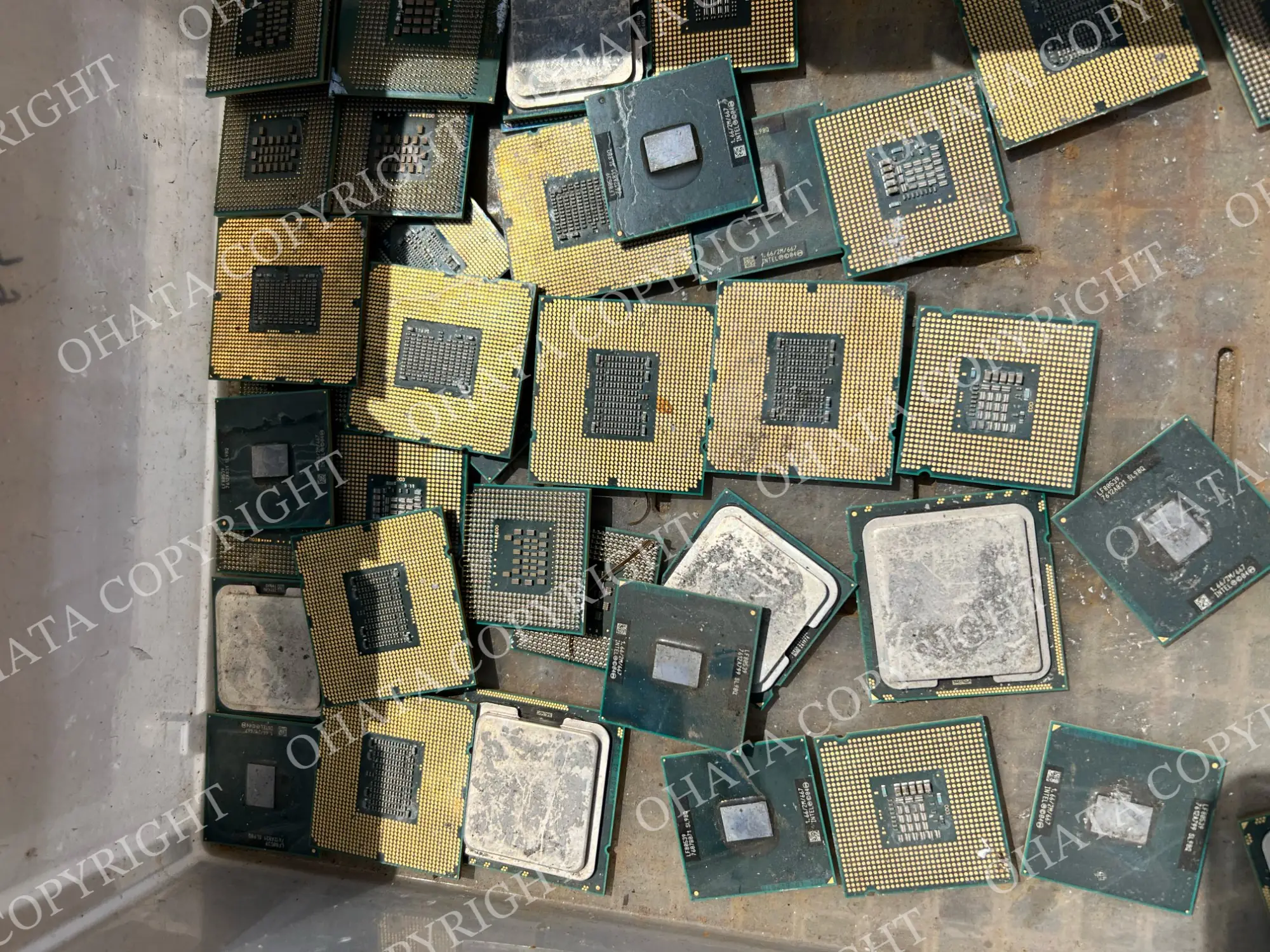 Mixed loose computer processors with gold-plated pins, organic-fiber substrates, exposed dies, and metal heat spreaders in different sizes and physical conditions.
