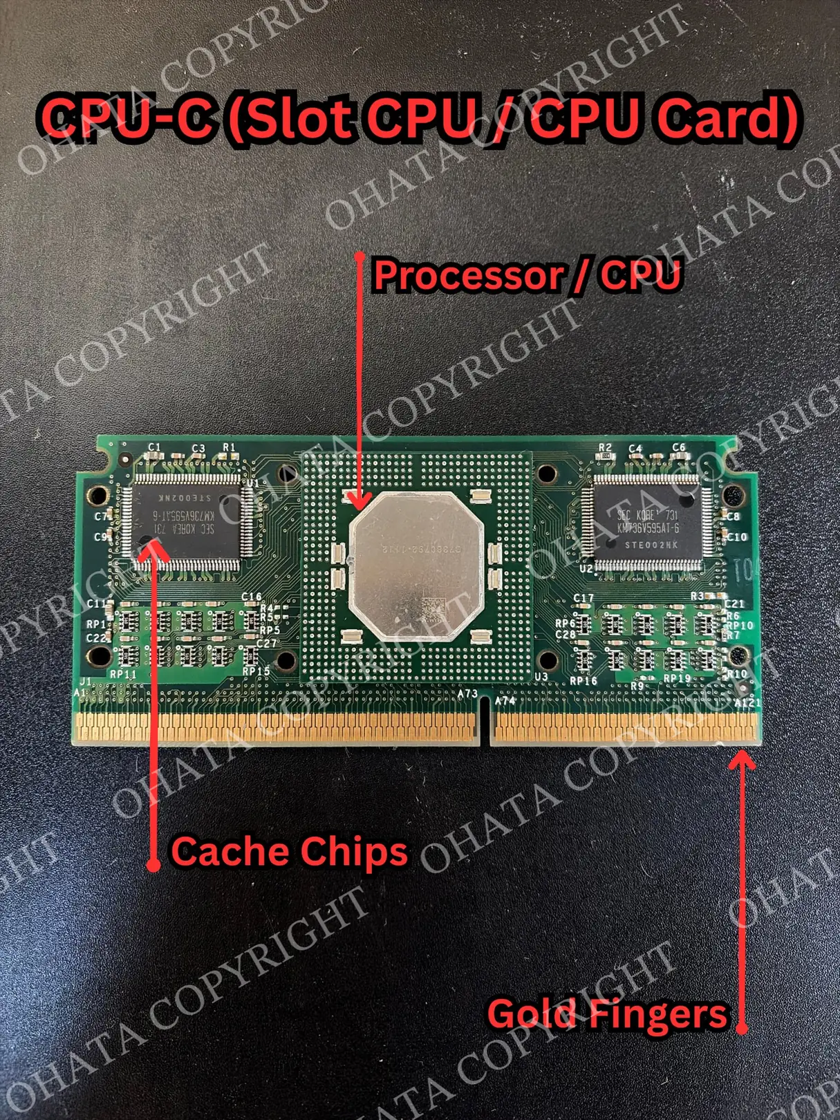 CPU-D slot processor module labeled with the processor, cache chips, and gold fingers along the edge connector.