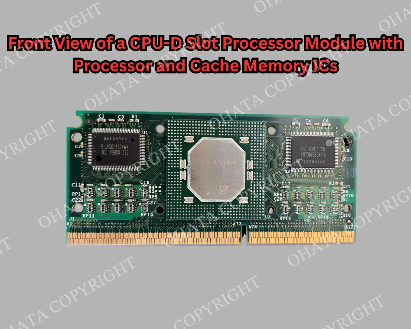 Front view of a CPU-D slot processor module showing the central processor package, cache memory ICs, and gold fingers.