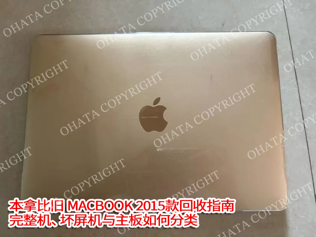 Gold MacBook (2015 model) casing